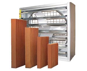 好色TV下载安装水簾